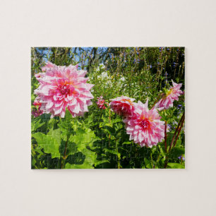 Rosa Dahlias (Otto's Thrill) Pussel