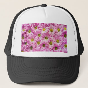 Rosa Daises Keps