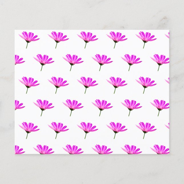 Rosa Daisy (Framsida)