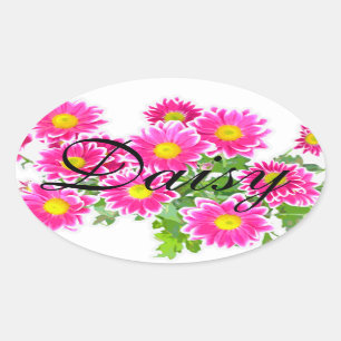 Rosa Daisy / Asters Bouquet + dina idéer Ovalt Klistermärke