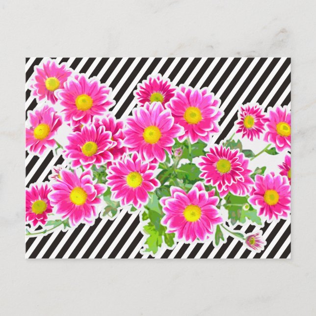 Rosa Daisy / Asters Bouquet & Strips + din idé Vykort (Framsida)