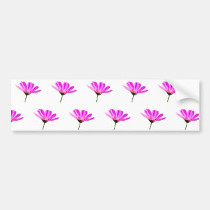 Rosa Daisy Bildekal