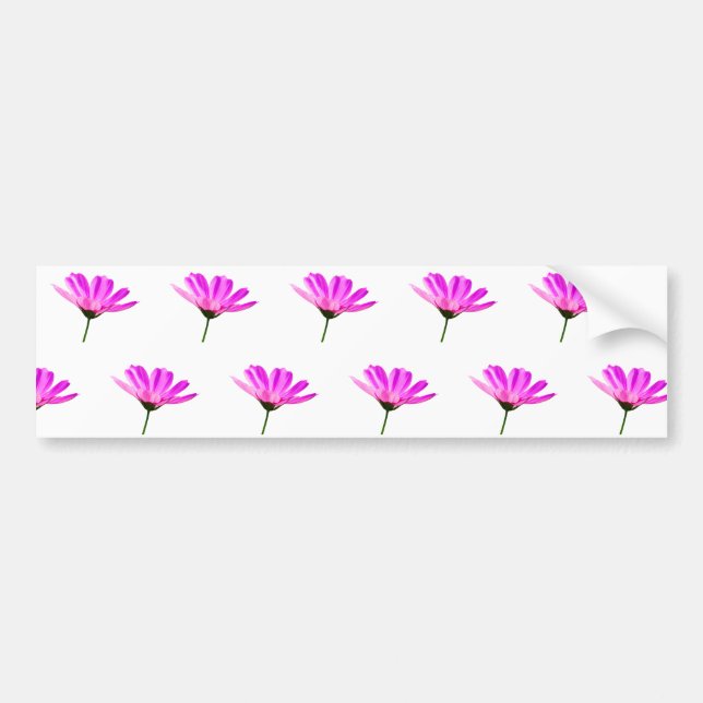 Rosa Daisy Bildekal (Framsidan)