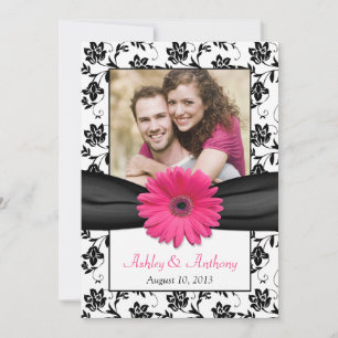 Rosa Daisy Black White Blommigt Foto Spara datum Datumet