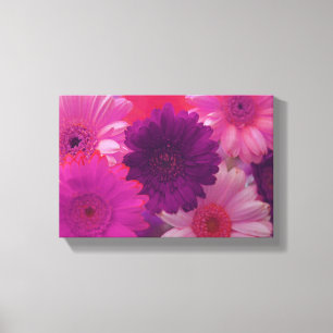 Rosa Daisy Blomfoto Canvas Wall Art Skriv ut