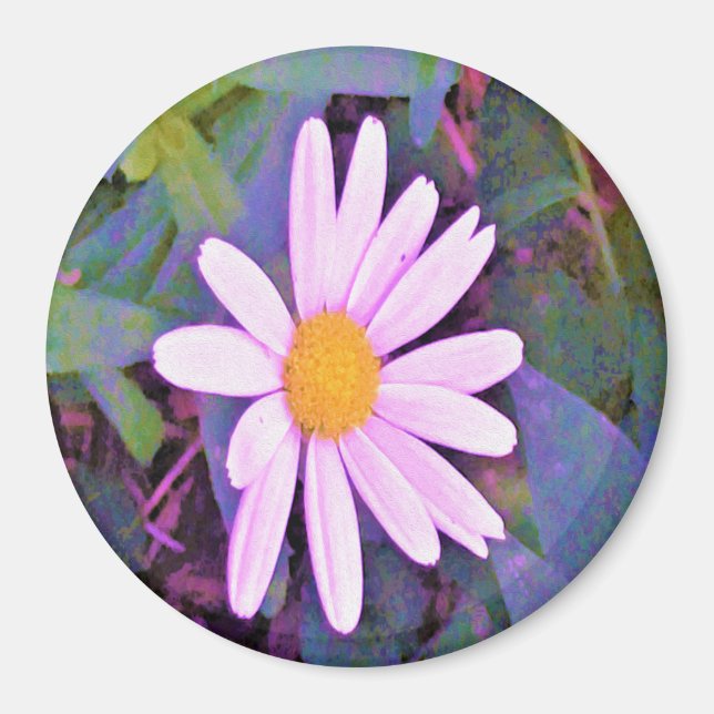 Rosa Daisy Blomma Magnet (Framsidan)