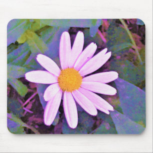 Rosa Daisy Blomma Musmatta