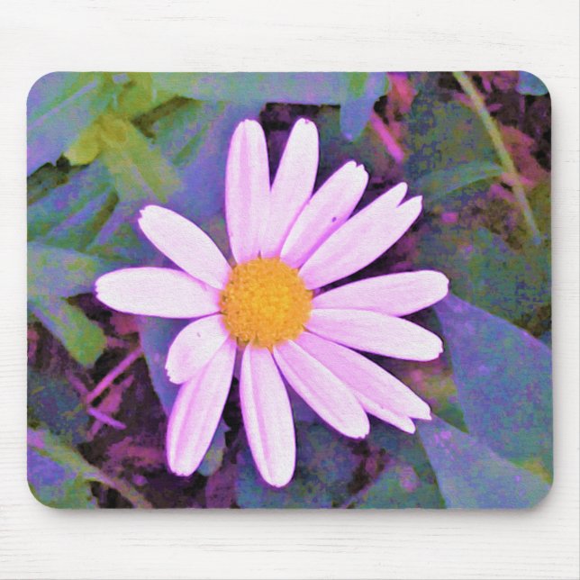 Rosa Daisy Blomma Musmatta (Framsidan)
