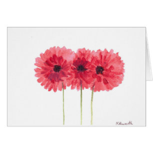 rosa daisy blommor hälsningskort
