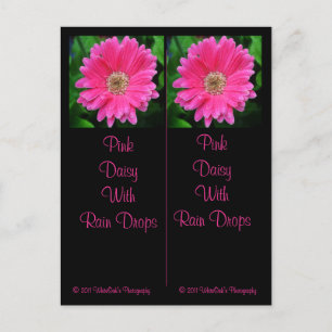 Rosa Daisy bokmärkets vykort