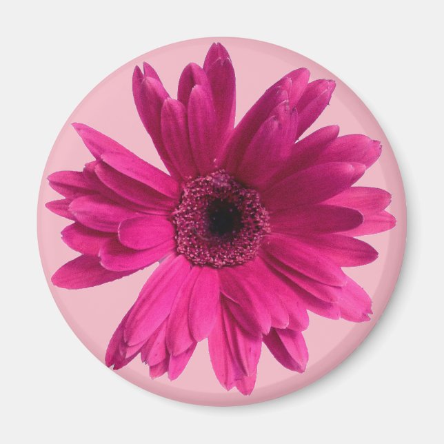 Rosa Daisy emoji Magnet (Framsidan)