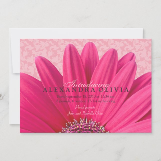 Rosa Daisy Flicka Photo Birth Notice Meddelande (Framsida)