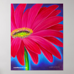 Rosa Daisy Flower Art Giclee - Poster