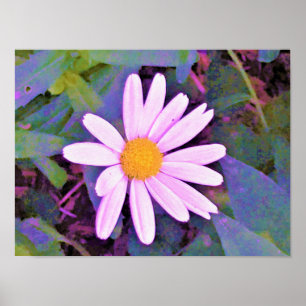 Rosa Daisy Flower Poster