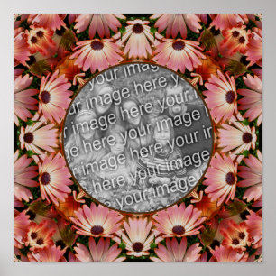 Rosa Daisy Flowers Ram Skapar ditt eget foto Poster