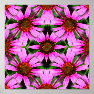 Rosa Daisy Flowers Spegel Abstrakt Poster