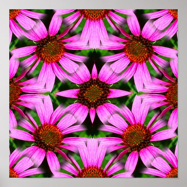 Rosa Daisy Flowers Spegel Abstrakt Poster (Framsidan)