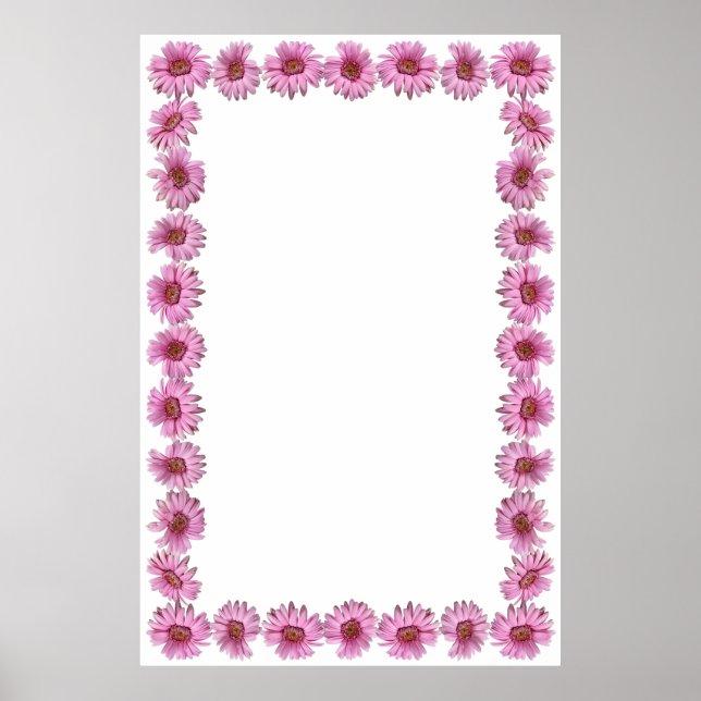 Rosa Daisy Gräns på tom bakgrund Poster (Framsidan)