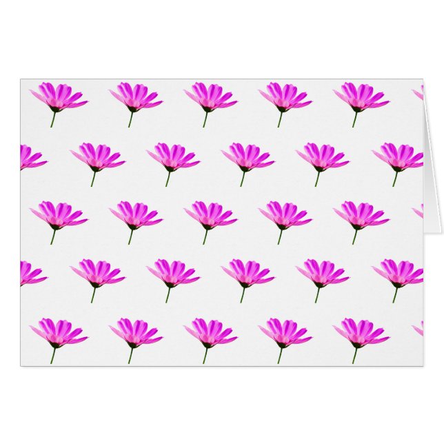 Rosa Daisy Hälsningskort (Framsidan Horizontal)