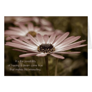 Rosa Daisy Hälsningskort