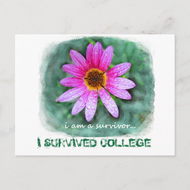 Rosa Daisy Jag är en efterlevande Vykort (Framsida)