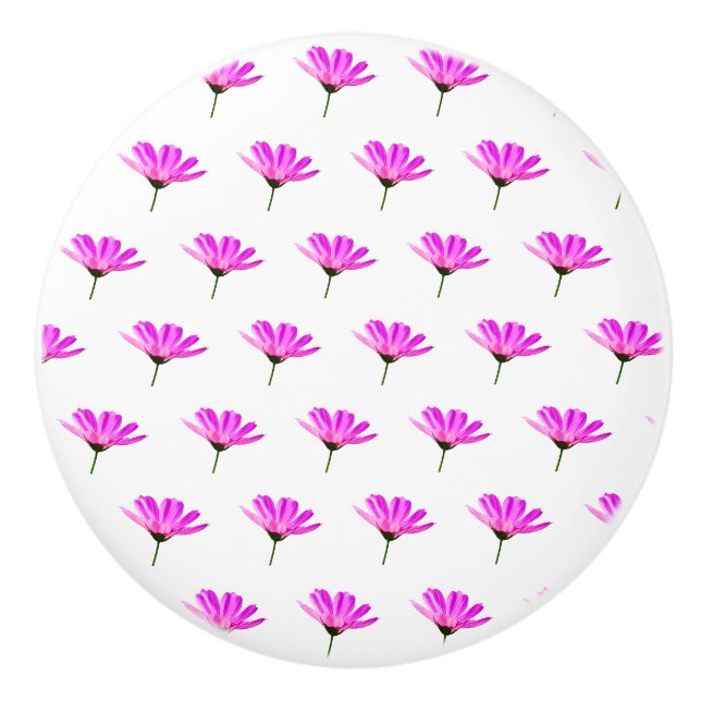 Rosa Daisy Knopp (Framsidan)