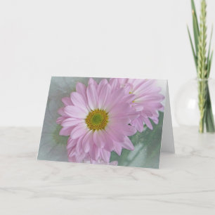 Rosa Daisy Kort