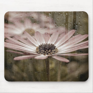rosa daisy med regn på fönster musmatta