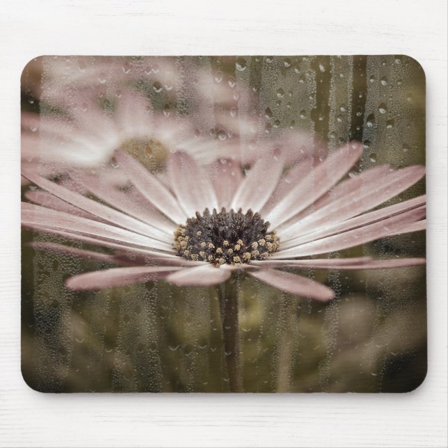 rosa daisy med regn på fönster musmatta (Framsidan)