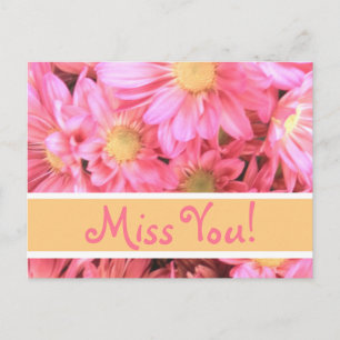 Rosa Daisy "Miss You" vykort