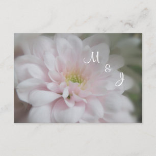Rosa Daisy Morsa Bröllop SvarsOSA kort