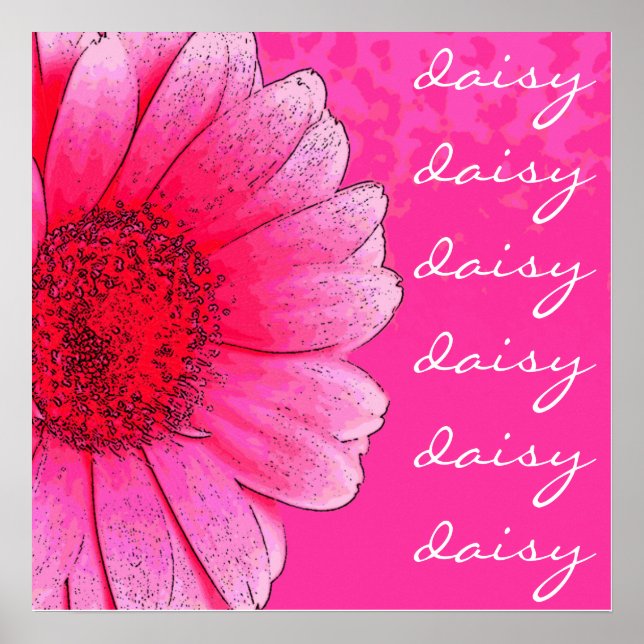 Rosa Daisy Poster (Framsidan)