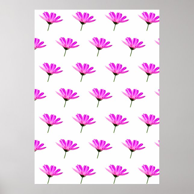 Rosa Daisy Poster (Framsidan)