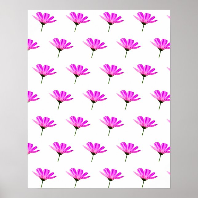 Rosa Daisy Poster (Framsidan)