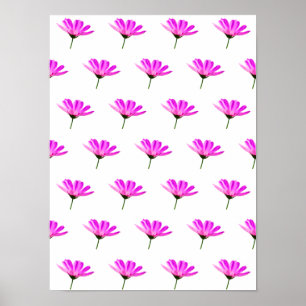 Rosa Daisy Poster
