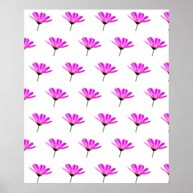 Rosa Daisy Poster (Framsidan)