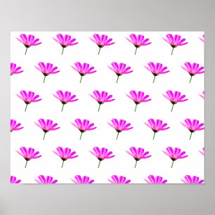 Rosa Daisy Poster