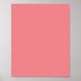 Rosa Daisy,Rosa ros,Rosa Sherbet. Poster