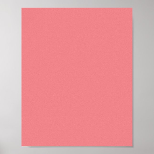 Rosa Daisy,Rosa ros,Rosa Sherbet. Poster (Framsidan)