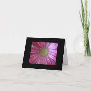 Rosa Daisy Skönhet Kort