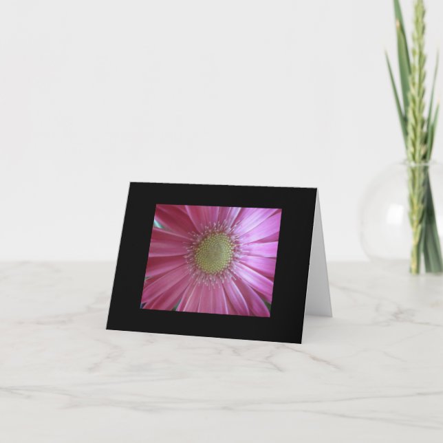 Rosa Daisy Skönhet Kort (Framsida)