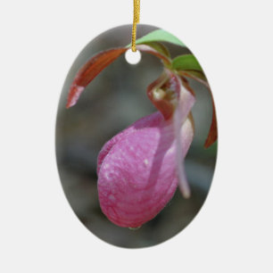 Rosa Dam-blanktsblomma Ornament