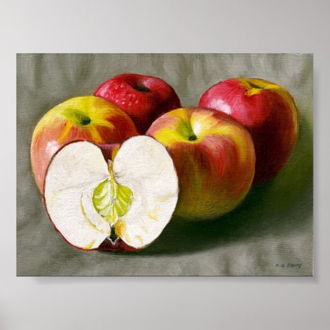 Rosa Dam. Fortsatt liv. Poster (Framsidan)