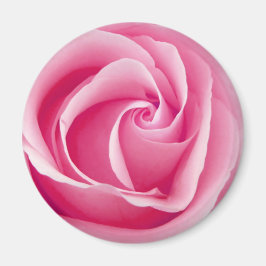 Rosa Dam Ro Magnet