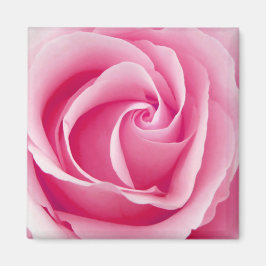 Rosa Dam Ro Magnet - Square