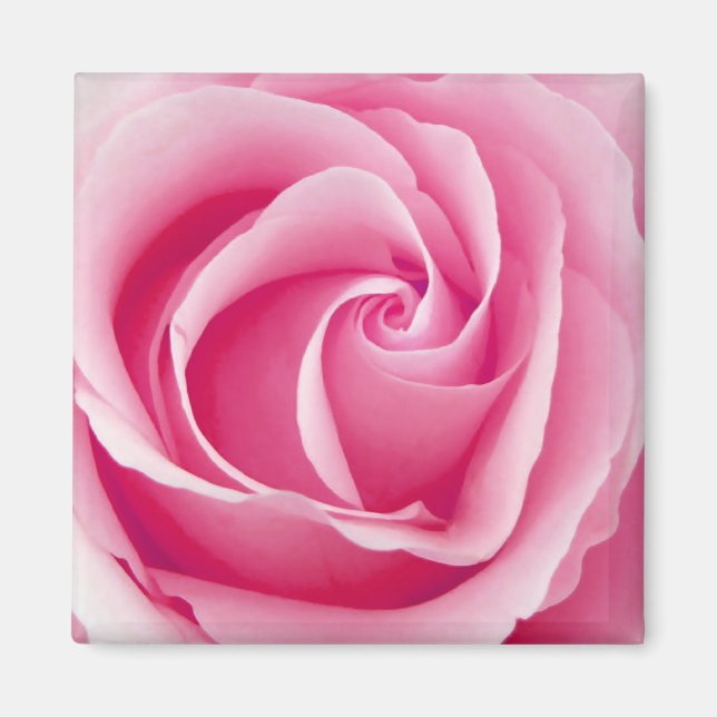 Rosa Dam Ro Magnet - Square (Framsidan)