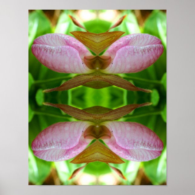 Rosa Dam Slipper Orchid Flower Close Abstrakt Poster (Framsidan)