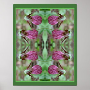 Rosa Dam Slipper Orchid Flower Pair Abstrakt Poster