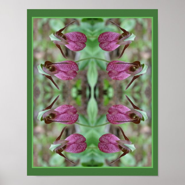 Rosa Dam Slipper Orchid Flower Pair Abstrakt Poster (Framsidan)