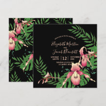 Rosa Dam Slipper Orchid WAN on Black Bröllop